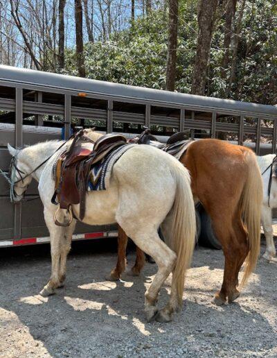 The Pisgah Ride Away, Brevard Adventure Getaways